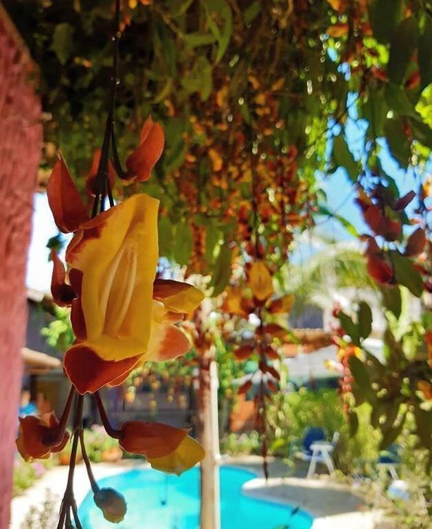 Residencial Dolce Villa Boicucanga Kültér fotó